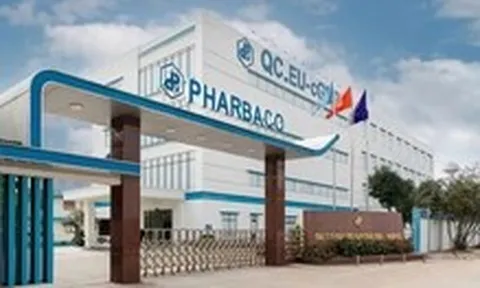 Mua 'chui' cổ phiếu, Tổng giám đốc Pharbaco bị phạt hơn 500 triệu, cấm giao dịch 18 tháng