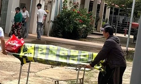 Người đàn ông tử vong khi trèo cây cắt sầu riêng thuê