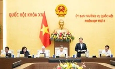 Đề xuất luật hóa cơ chế phát triển khu đô thị lấn biển từ 100.000 tỉ đồng vào dự Luật Phát triển đô thị
