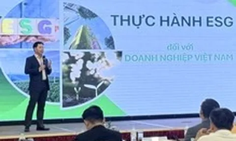Thay đổi từ chiếc thẻ phòng đến cách xử lý thức ăn thừa, khách sạn TP.HCM đang tăng tốc xanh hóa