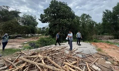 Thanh tra chỉ ra hàng loạt sai phạm, buông lỏng quản lý đất rừng ở Phú Quốc