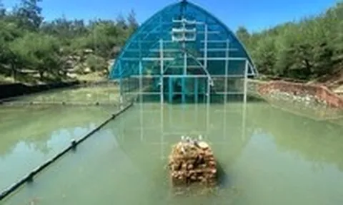 Chống ngập cho di tích tháp Chăm 1.200 tuổi