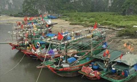 Ảnh hưởng bão số 4, Quảng Ninh tạm ngừng cấp phép tàu ra khơi