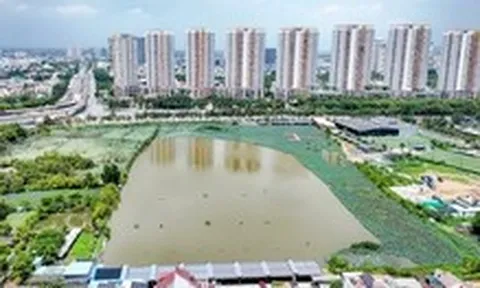Đại Quang Minh đề xuất lập quy hoạch TOD đưa siêu ga Thủ Thiêm thành điểm nhấn kiến trúc