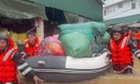 Mưa ngập tới bụng, hơn 800 tiểu thương chợ đầu mối hối hả cứu hàng