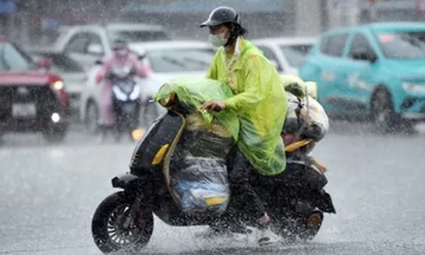 Dự báo thời tiết 22/8/2026: Bão số 4 gây mưa lớn, tâm điểm Đông Bắc Bộ