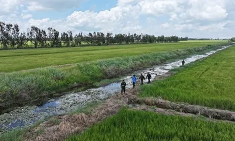 Từ nguồn tin của một kỹ sư, khảo sát thực địa, xác định mộ tập thể hơn 300 liệt sĩ
