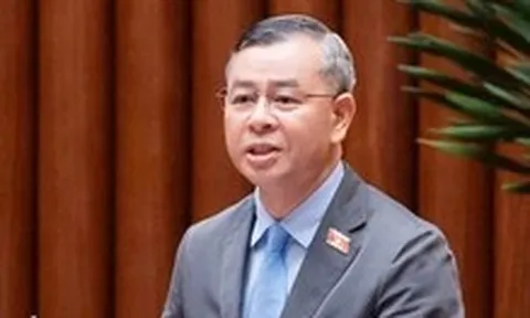 Chủ nền tảng thương mại điện tử phải kết nối dữ liệu với hải quan, thực hiện định danh điện tử