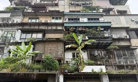 Hà Nội chuẩn bị cải tạo chung cư cũ: Người dân đóng sẵn đồ, ngóng từng ngày rời đi