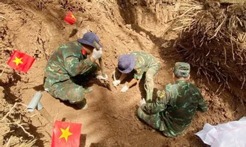 Từ manh mối của người phụ nữ, tìm được 56 hài cốt liệt sĩ dưới vườn dừa