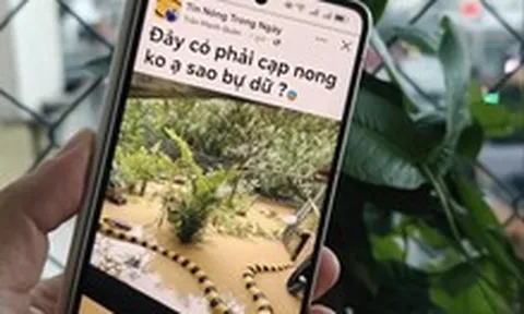Hệ lụy từ video ngắn: Dựng 'hàng rào' đề kháng và chậm lại 3 giây quý giá