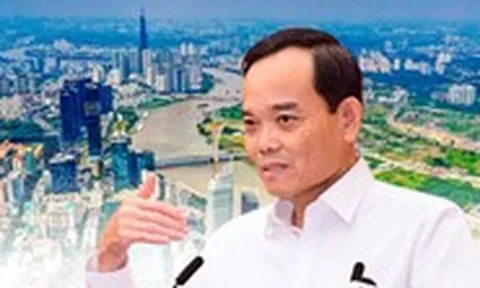 Bí thư Trần Lưu Quang: Luật Phát triển đô thị là cơ hội thực sự lớn, TP.HCM phải biến điều đó thành kết quả