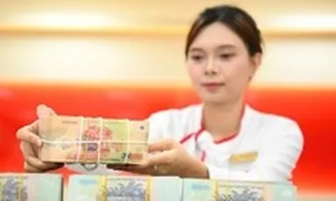 ‘Kho tiền’ hơn 610.000 tỉ đồng do 14 doanh nghiệp nắm giữ là những ai?