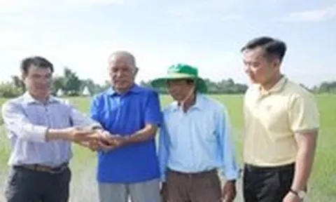 Đúng bí kíp, mùa vàng càng thắng lớn