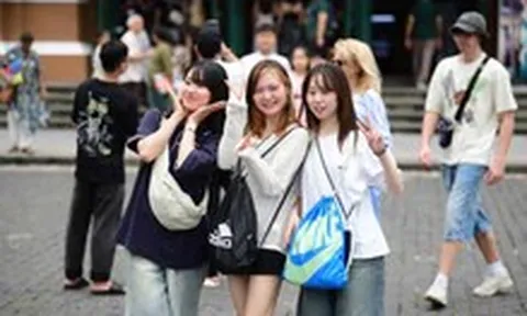 TP.HCM đề nghị OTA siết thông tin giả mạo, bảo vệ khách đặt phòng
