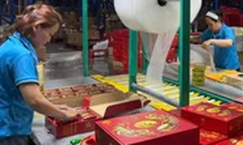 Nhu cầu bánh Trung thu tăng sớm trên sàn thương mại điện tử, sức mua tích cực