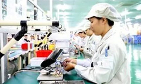 TP.HCM cần thêm những mắt xích nào để hút 'đại bàng' công nghệ?