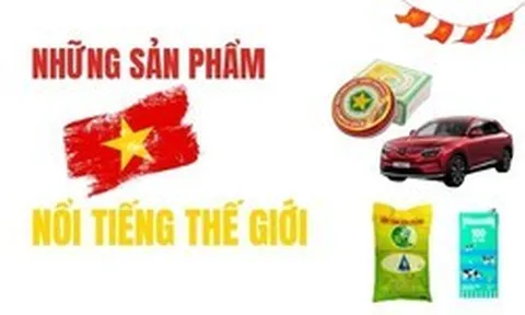Từ Cao Sao Vàng, gạo ST25 đến VinFast: Những thương hiệu Việt Nam được thế giới biết tới ra sao?