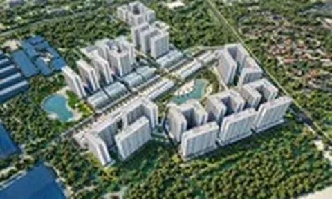 Hòa Phát lãi 4.300 tỉ đồng từ bất động sản, gấp hơn 10 lần năm trước