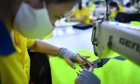 Vì sao doanh nghiệp 'đắp chiếu' nhiều năm bỗng gánh núi tiền phạt khi giải thể?