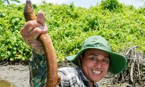 Về miền Tây se lịch vuông tôm, nấu nồi lẩu chua ngon ‘hết sẩy’