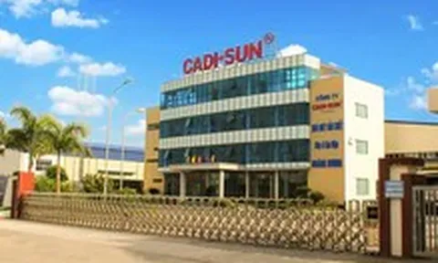 Vụ giấu 1.400 tỉ đồng doanh thu: Cadisun lớn cỡ nào?