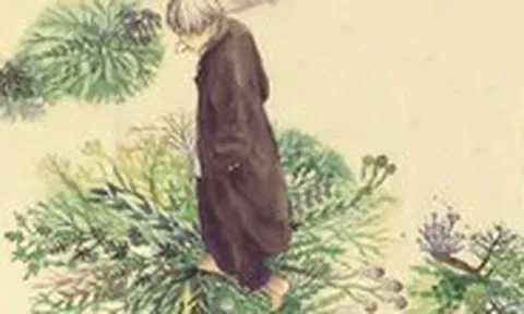 Nhìn lại Mushishi, một trong những manga xuất sắc nhất thế kỷ 21
