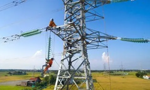 Tổng công ty Điện lực miền Nam cảnh báo khẩn