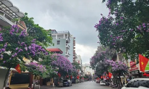 Hải Phòng tạm cấm đường Cầu Đất để thu hồi, vận chuyển và huỷ nổ 1 quả bom