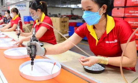 Giải thể doanh nghiệp khó: nhìn từ công thức 90 + 9 + 1 của Singapore