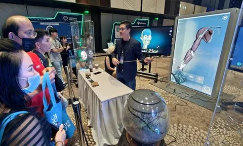 Vì sao công ty Việt Nam mà 'quốc tịch' ở Singapore?