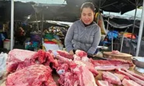 Giá heo hơi ngày 6-9: Cao nhất là các tỉnh phía Bắc, lên mức 60.000 đồng/kg