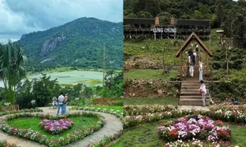 Xử lý tình trạng 'xẻ thịt' đất rừng xây quán cà phê view núi