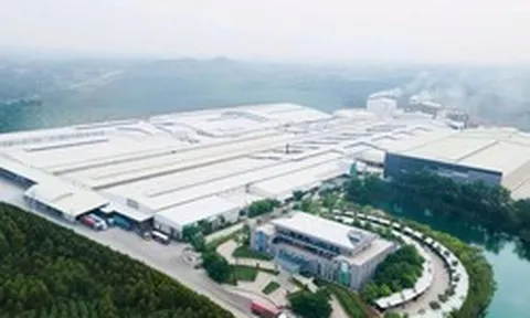 Trước thềm huy động vốn gần 800 tỷ đồng, Amy Grupo của Chủ tịch 75 tuổi báo lãi giảm 13%