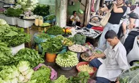Tin tức sáng 7-9: Khó mua bông cải Đà Lạt