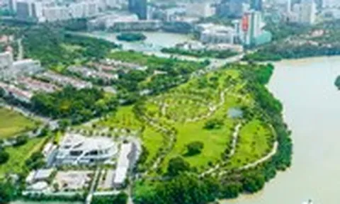 Chủ khu đô thị 'nhà giàu' Phú Mỹ Hưng lãi 7,5 tỉ đồng mỗi ngày