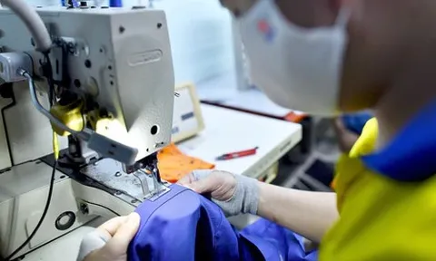 Một ngày 4 nghị định, 5 thông tư thuế: Làm sao để hộ kinh doanh bớt 'chóng mặt'?