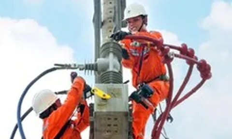 6 tháng đầu năm EVN lãi sau thuế 8.631 tỉ, gửi ngân hàng 121.835 tỉ đồng