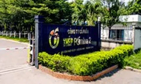 Được Vinhomes hỗ trợ hơn 1.100 tỉ, Pomina đang kinh doanh ra sao?