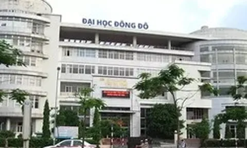 Nữ cán bộ Đại học Đông Đô 'lừa' sinh viên nộp 1,9 tỷ đồng mở lớp học nhưng không được cấp bằng