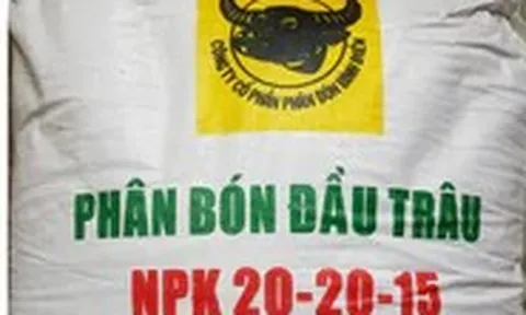 Thương hiệu tôi yêu: Phân Đầu Trâu - Bình Điền theo ba má tôi ra đồng