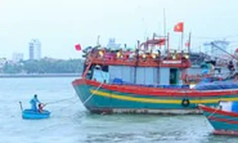 Ngư dân Quảng Trị gia cố tàu thuyền, sẵn sàng ứng phó áp thấp nhiệt đới