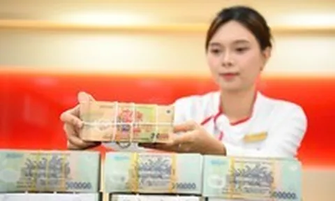 Một công ty được cấp hạn mức tín dụng 11.150 tỉ, mượn nhà đất của tổng giám đốc để thế chấp