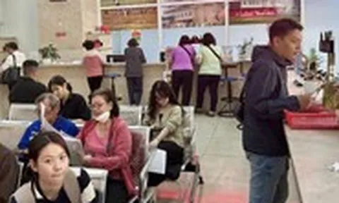 Làm sạch mã số thuế: TP.HCM mới đạt 19,6% nhưng lại đứng đầu về số tuyệt đối