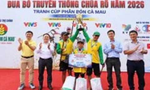 Hội đua bò Chùa Rô 2026 sôi động với 32 đôi bò tranh tài