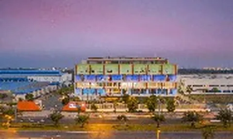 Lợi nhuận Điện Quang năm 2025 bất ngờ giảm 57%, sau khi kiểm toán soát xét lại