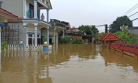 Nước sông dâng cao, hơn 3.000 hộ dân Ninh Bình 'chơi vơi' giữa dòng lũ