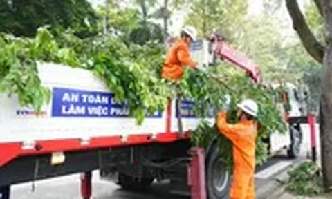 TP.HCM triển khai nhiều phương án an toàn điện mùa mưa bão