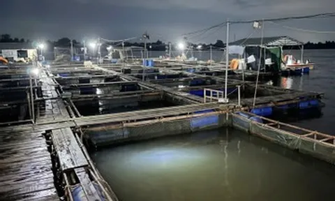 Cha nắm tay cứu con trai bị điện giật, cả hai rơi xuống sông mất tích