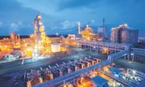 Phân bón Cà Mau và hành trình 15 năm tiếp sức cho cộng đồng